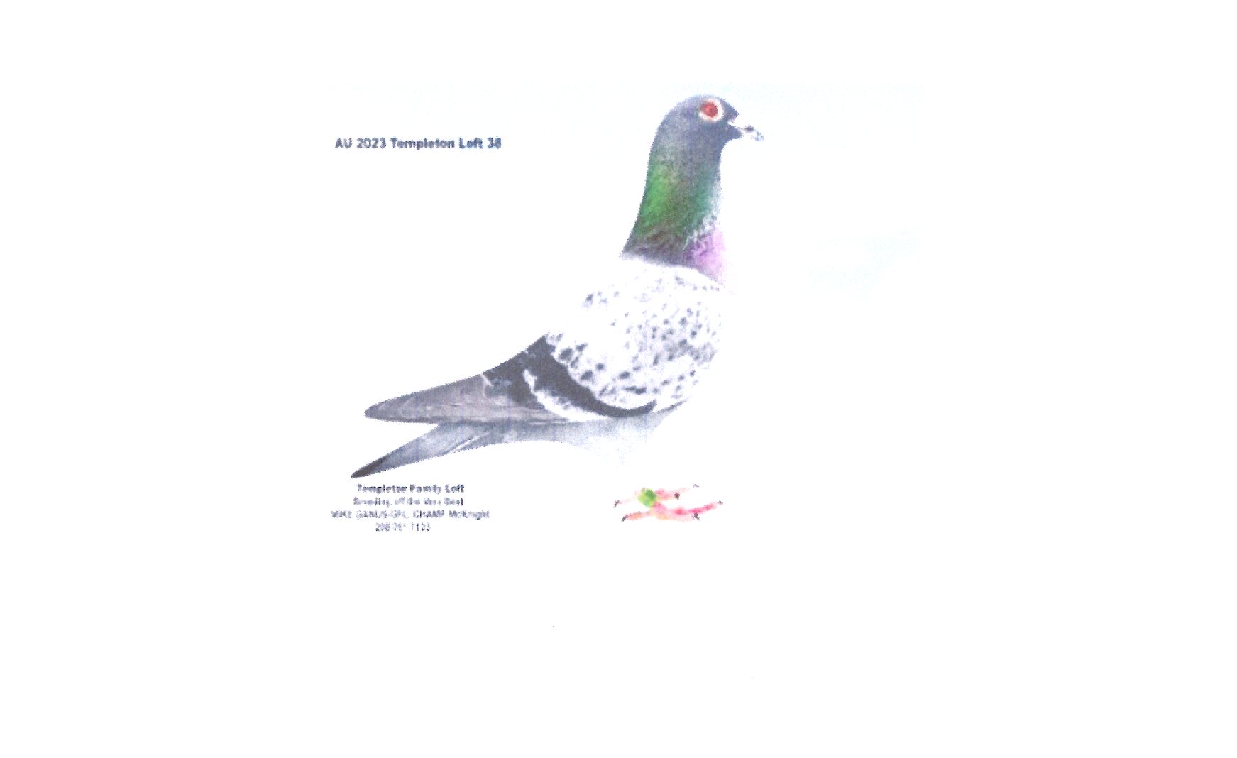 Preview Image 1