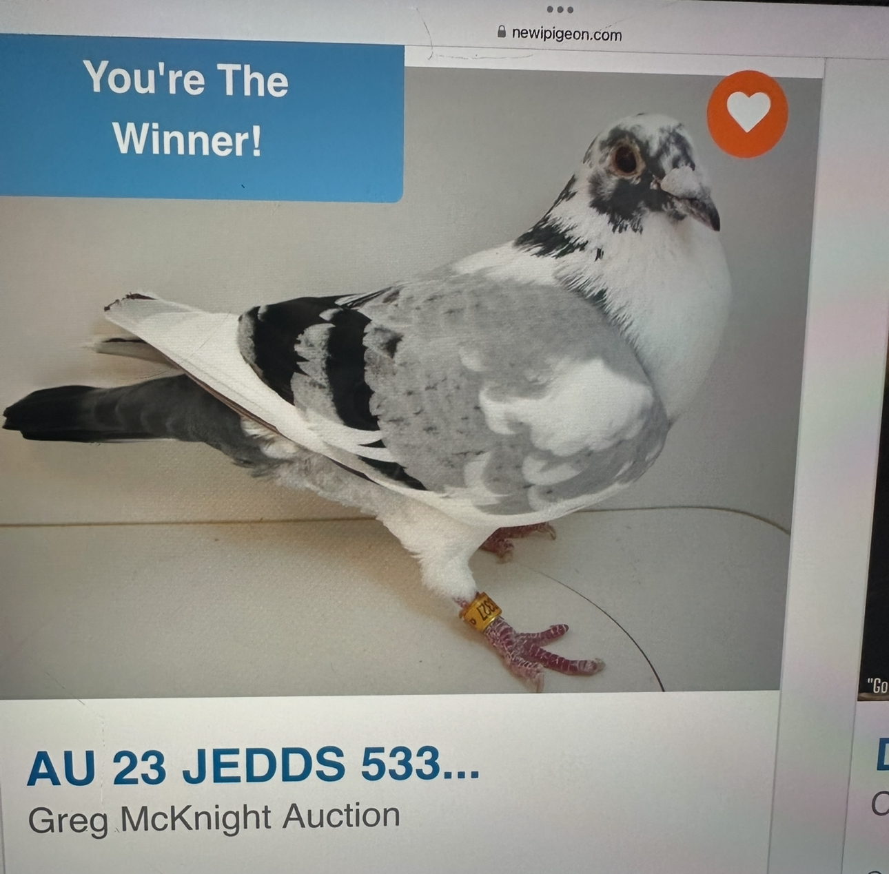 AU- Jedds 53327 2023  