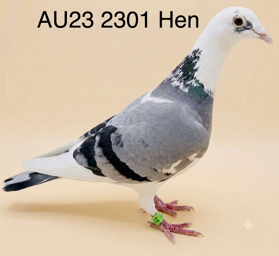 AU-2023-KWAN-2301