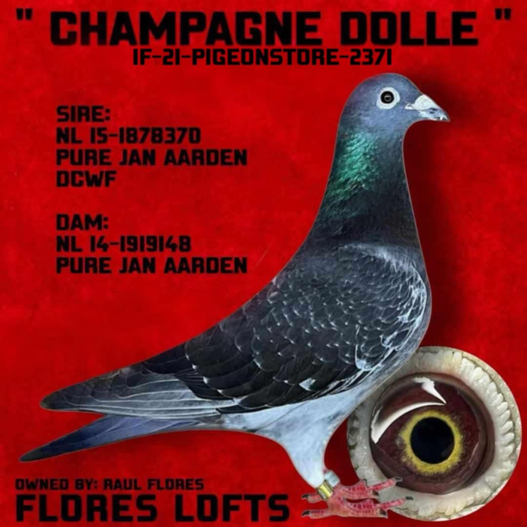 jan aarden 100% from imports