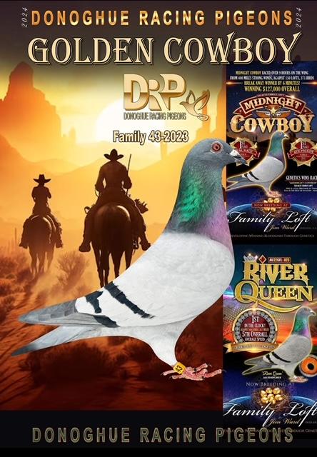 MIDNIGHT COWBOY X RIVER QUEEN 