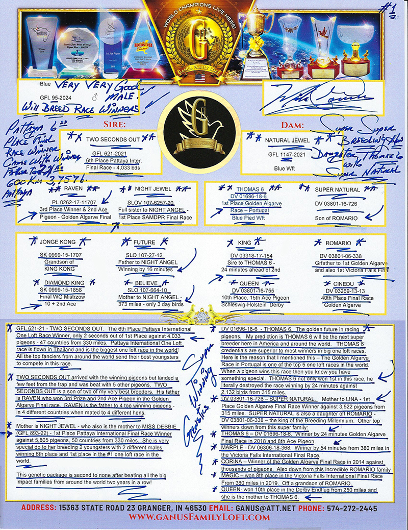 Preview Image 2