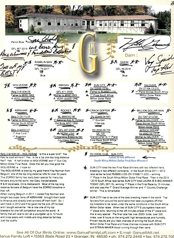 GFL 967 2019 PENCIL BLUE MALE