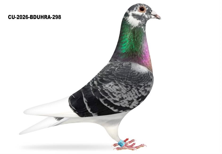 CU 26 BDUHRA 298 BCpd C