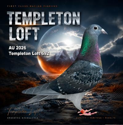 Templteon loft 2026/692