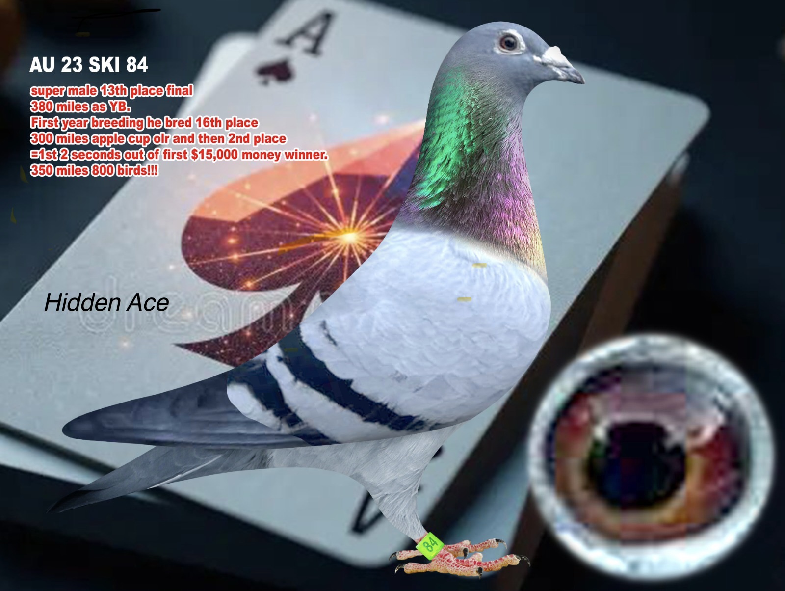Preview Image 6