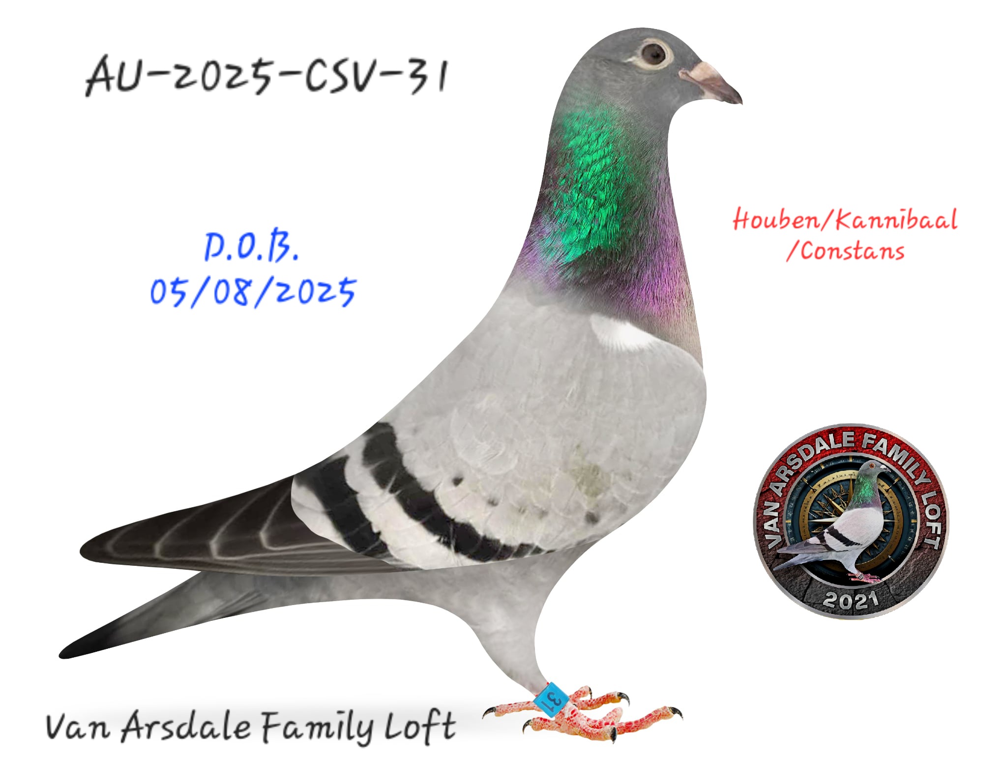AU-2025-CSV-31