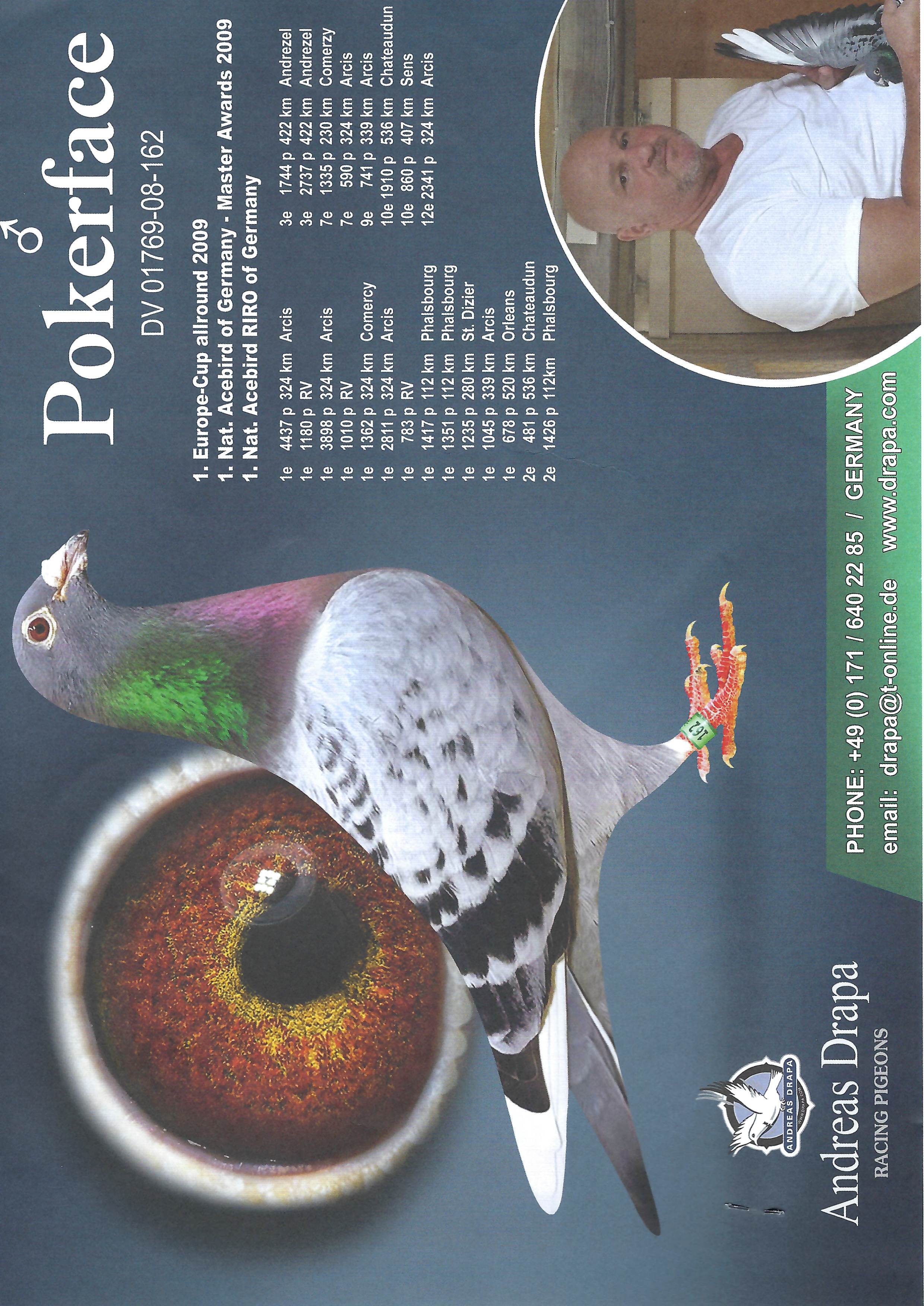 iPigeon.com - Racing Pigeon Auction
