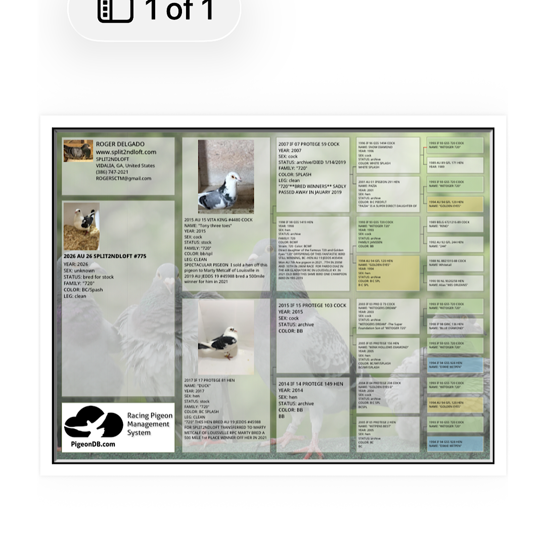 Preview Image 3