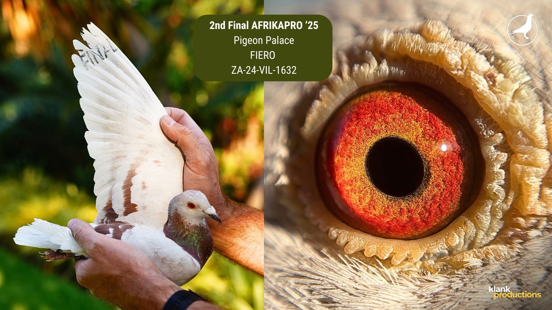 Preview Image 13