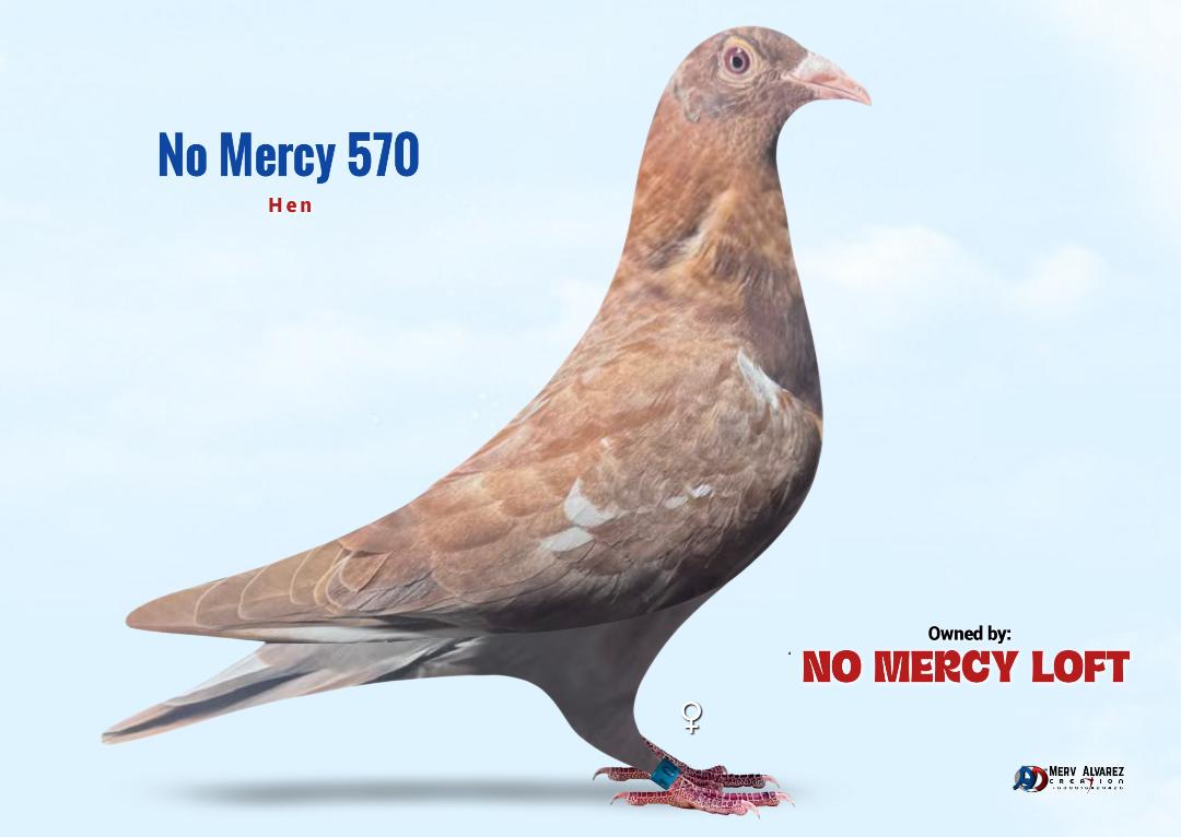 570 REC RED DIJKSTRA HEN