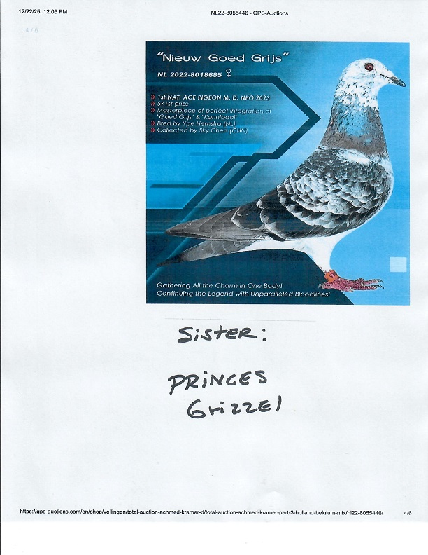 Preview Image 13