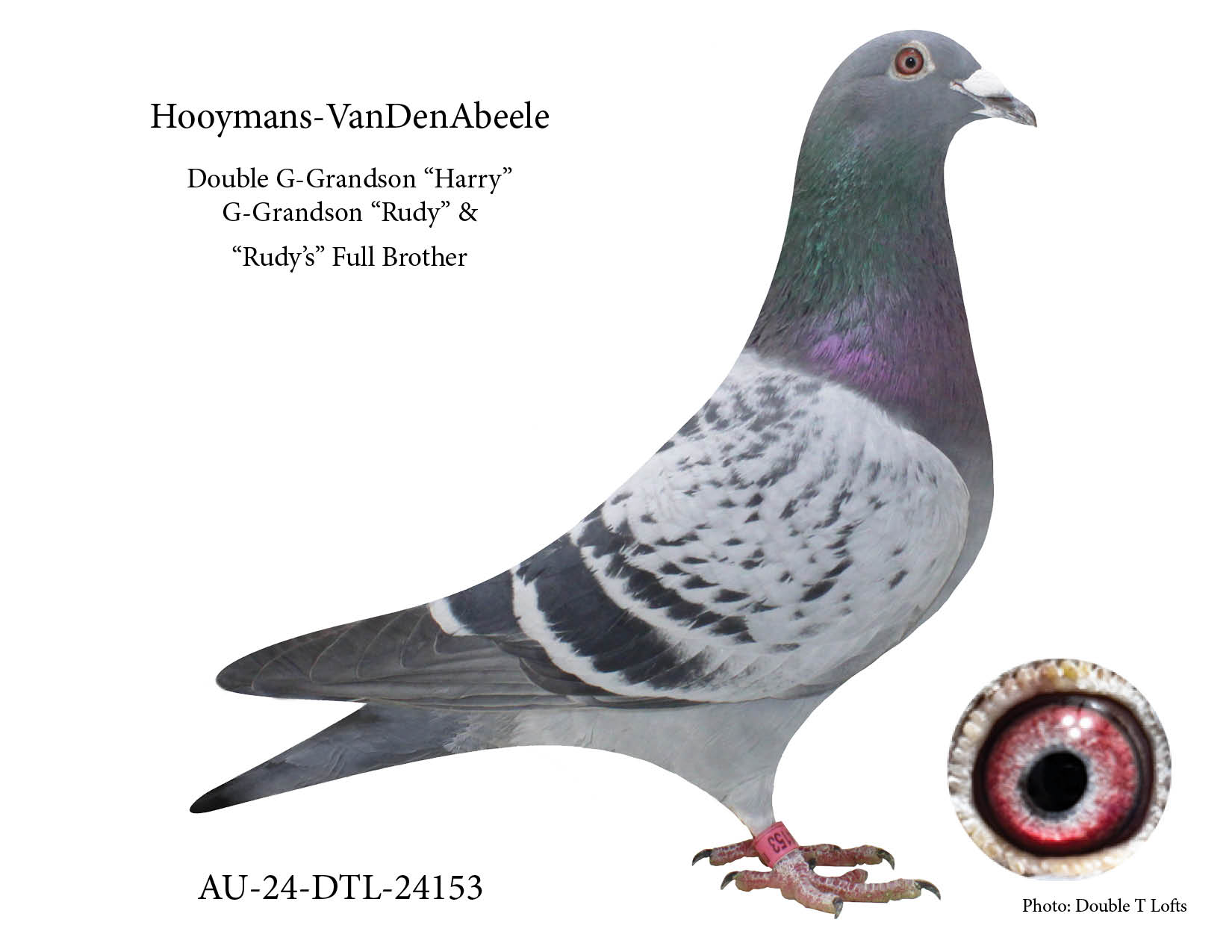 G-Grandson "Rudy" & Double G-Grandson "Harry"