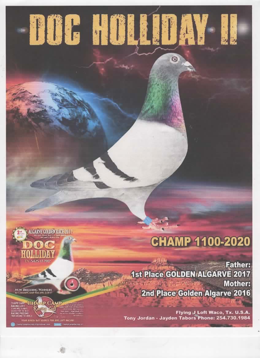 CHAMP 1100 BBC DOC HOLLIDAY II