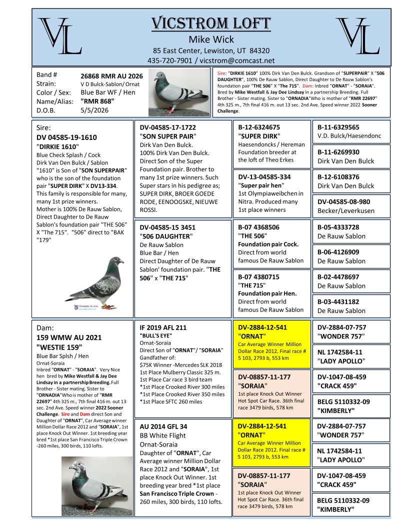 Preview Image 3