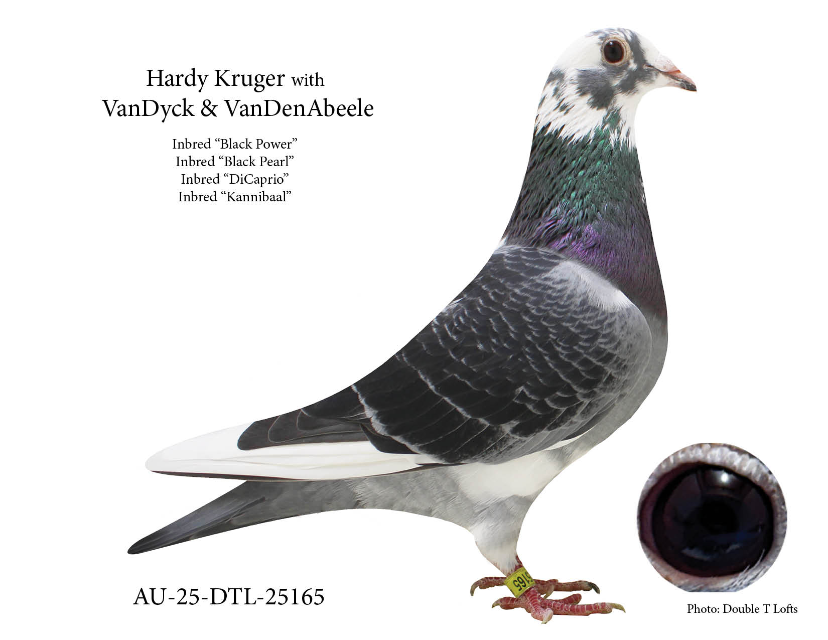 Hardy Kruger Half Brother-Half Sister