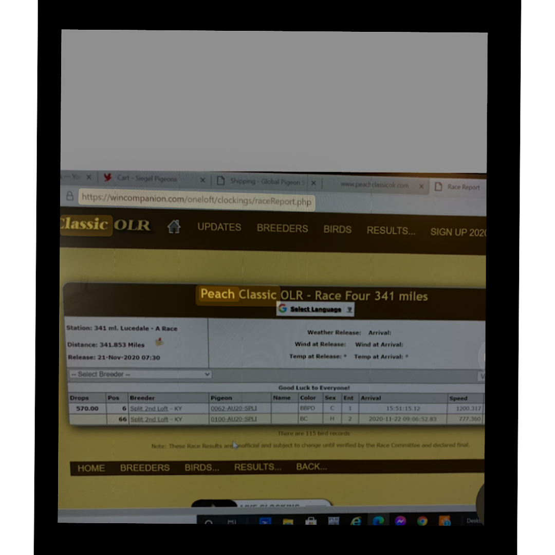 Preview Image 4