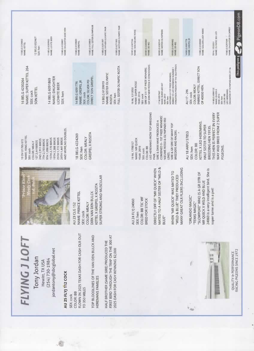 OLR PROVEN DIRK VAN DEN BULCK AND LEO HEREMANS BLOOD