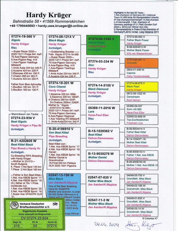 Preview Image 3