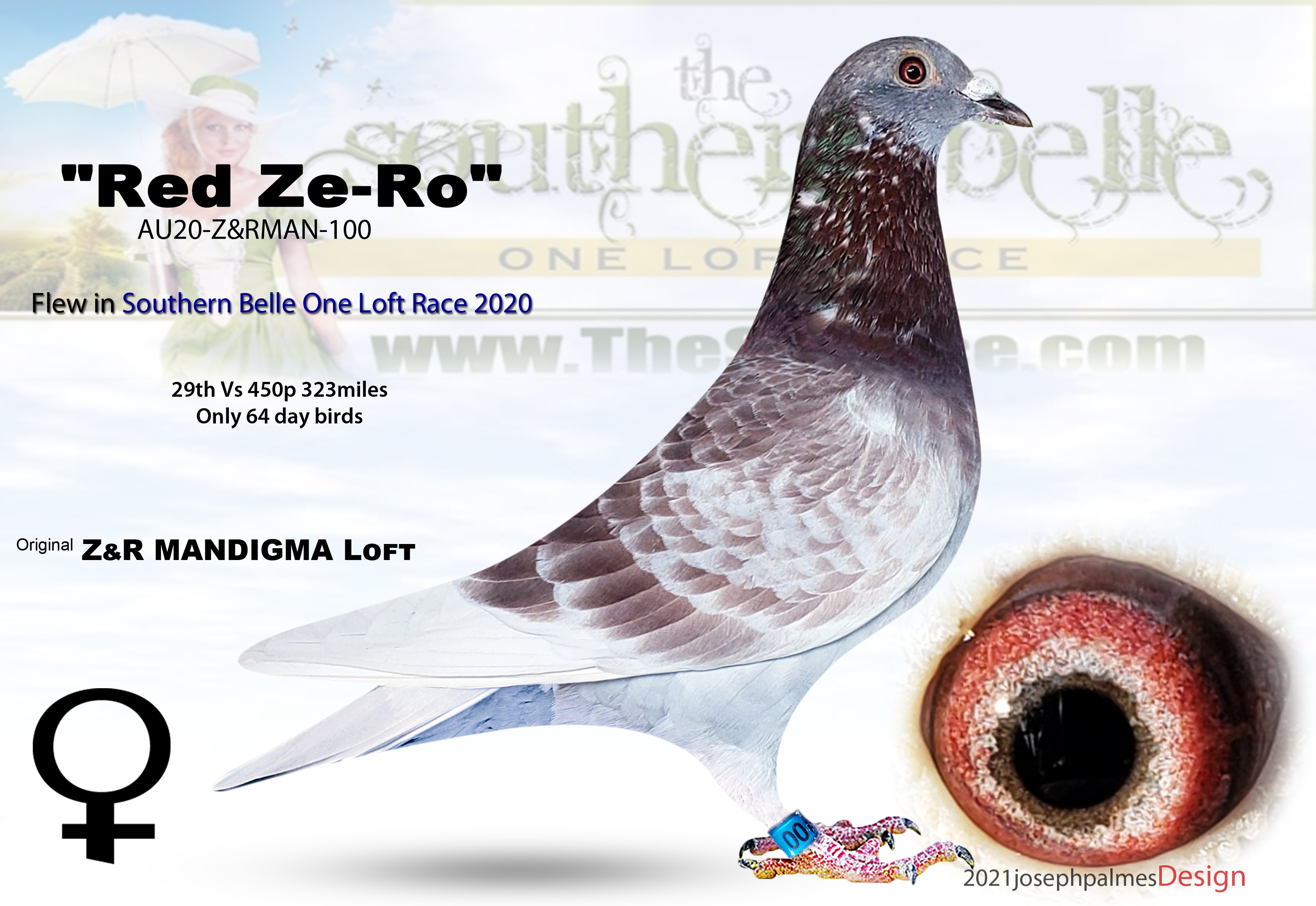AU20-Z&RMAN-100 RED CHECK HEN 
