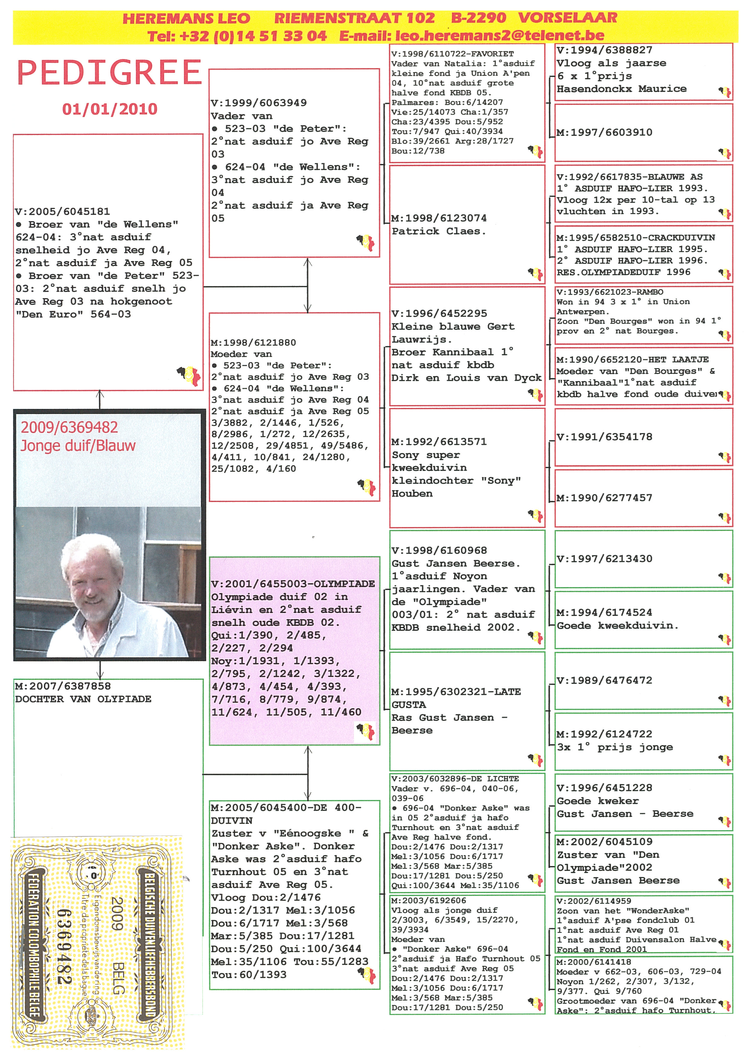 Preview Image 7