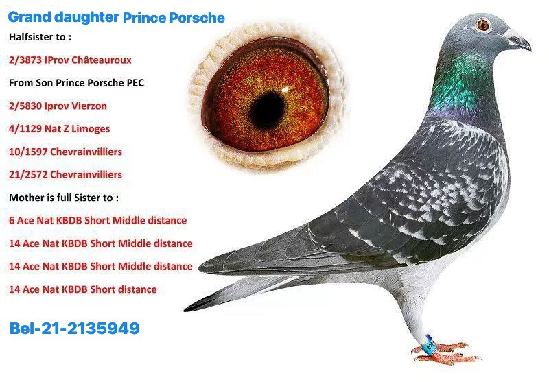 G daughter Prince Porsche