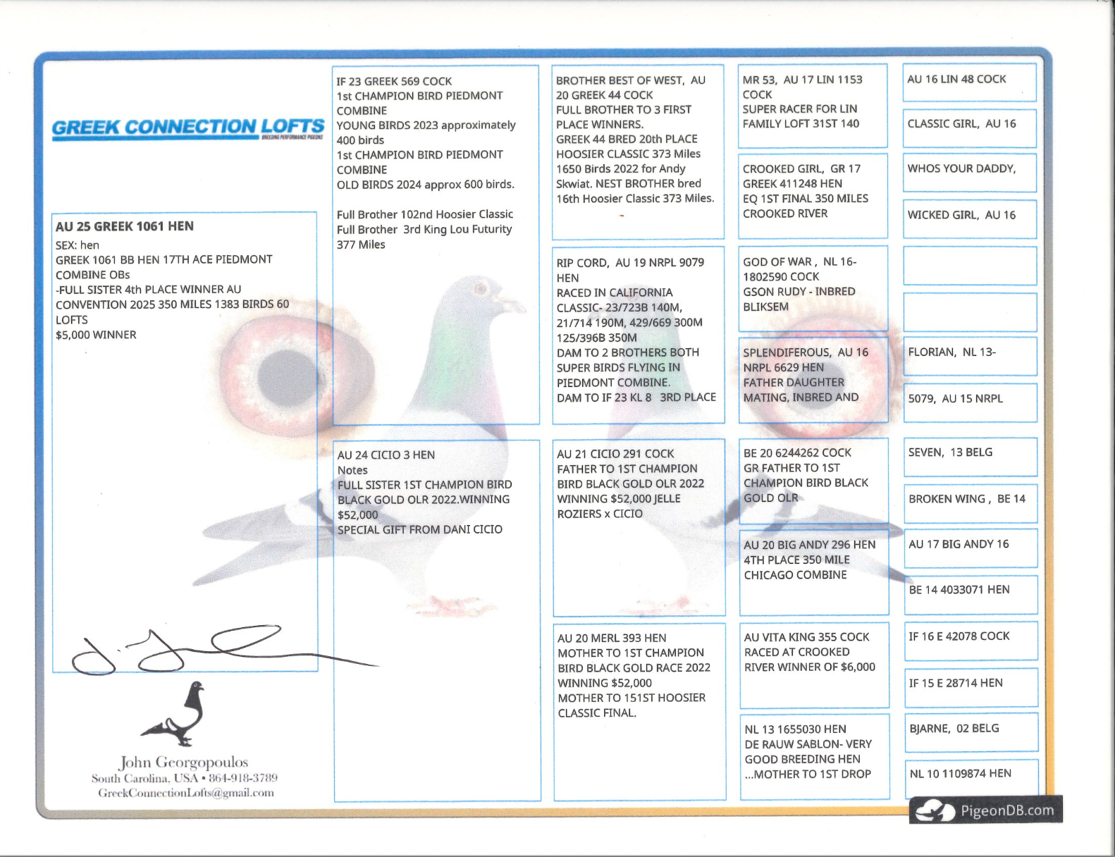 Preview Image 2