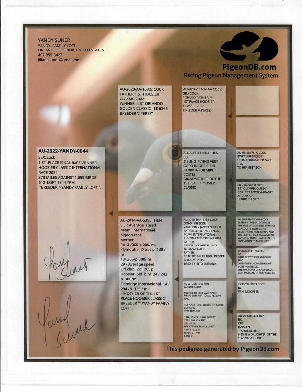 Preview Image 3