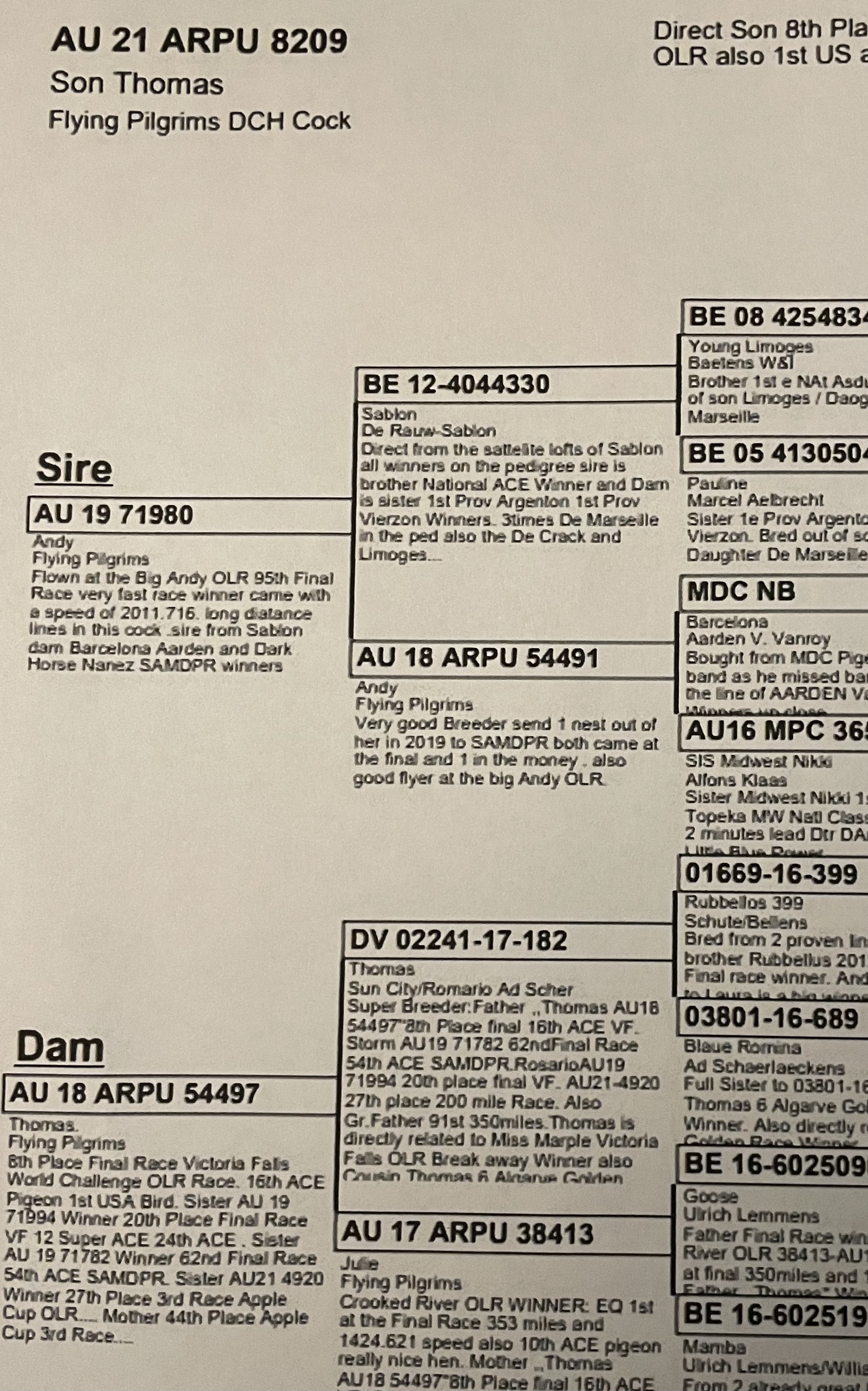 AU 2017 Lundloft 283 BCWFH