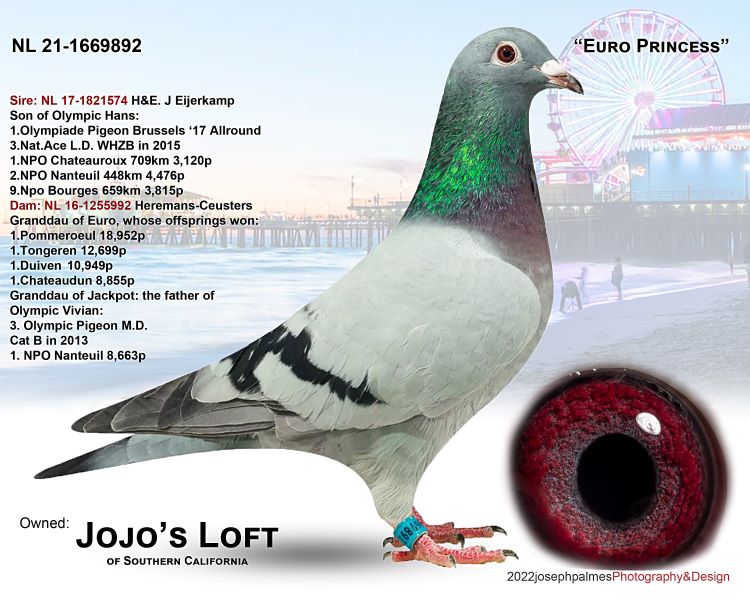 2021 NL 1669892 EURO PRINCESS