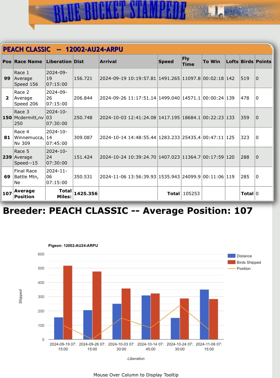 Preview Image 3