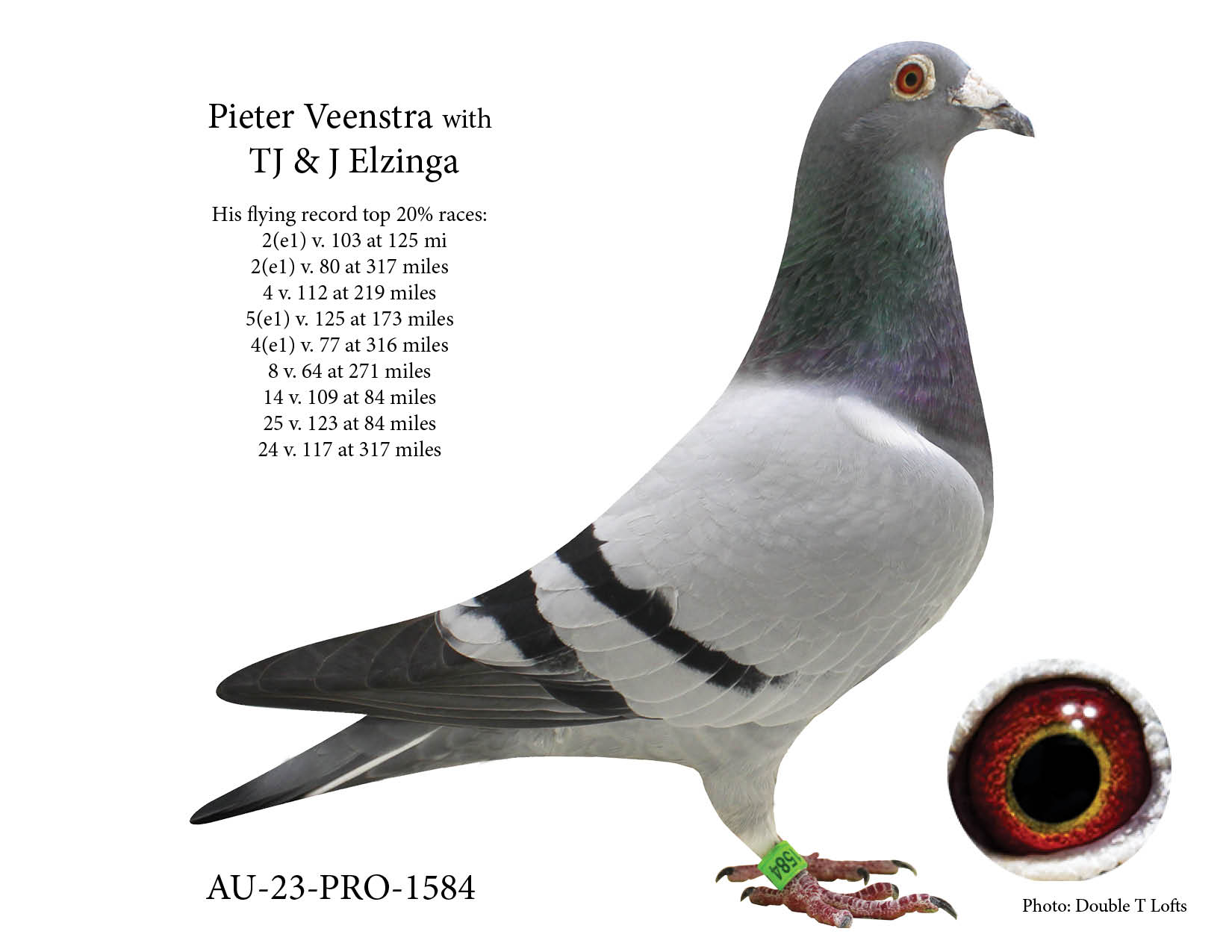 Excellent Flying Record!