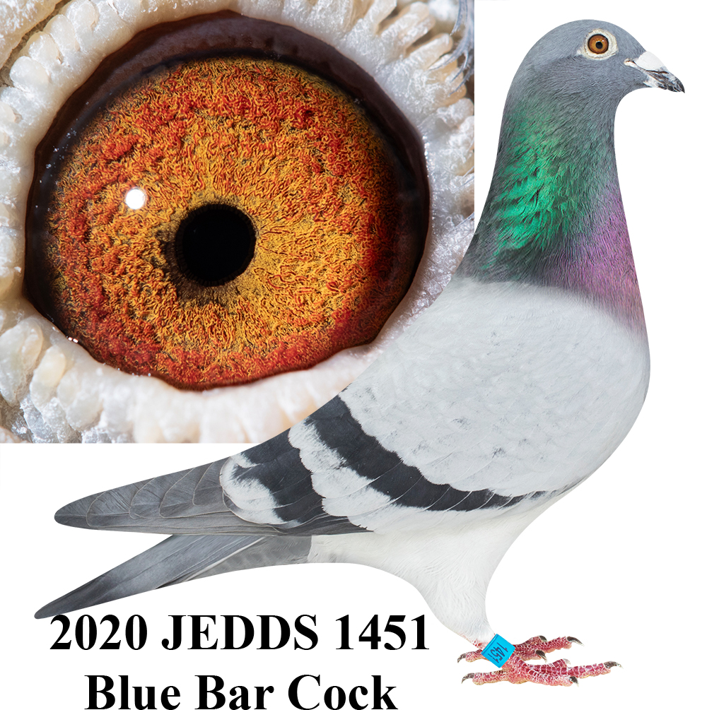 AU 2020 JEDDS 1451 BB C