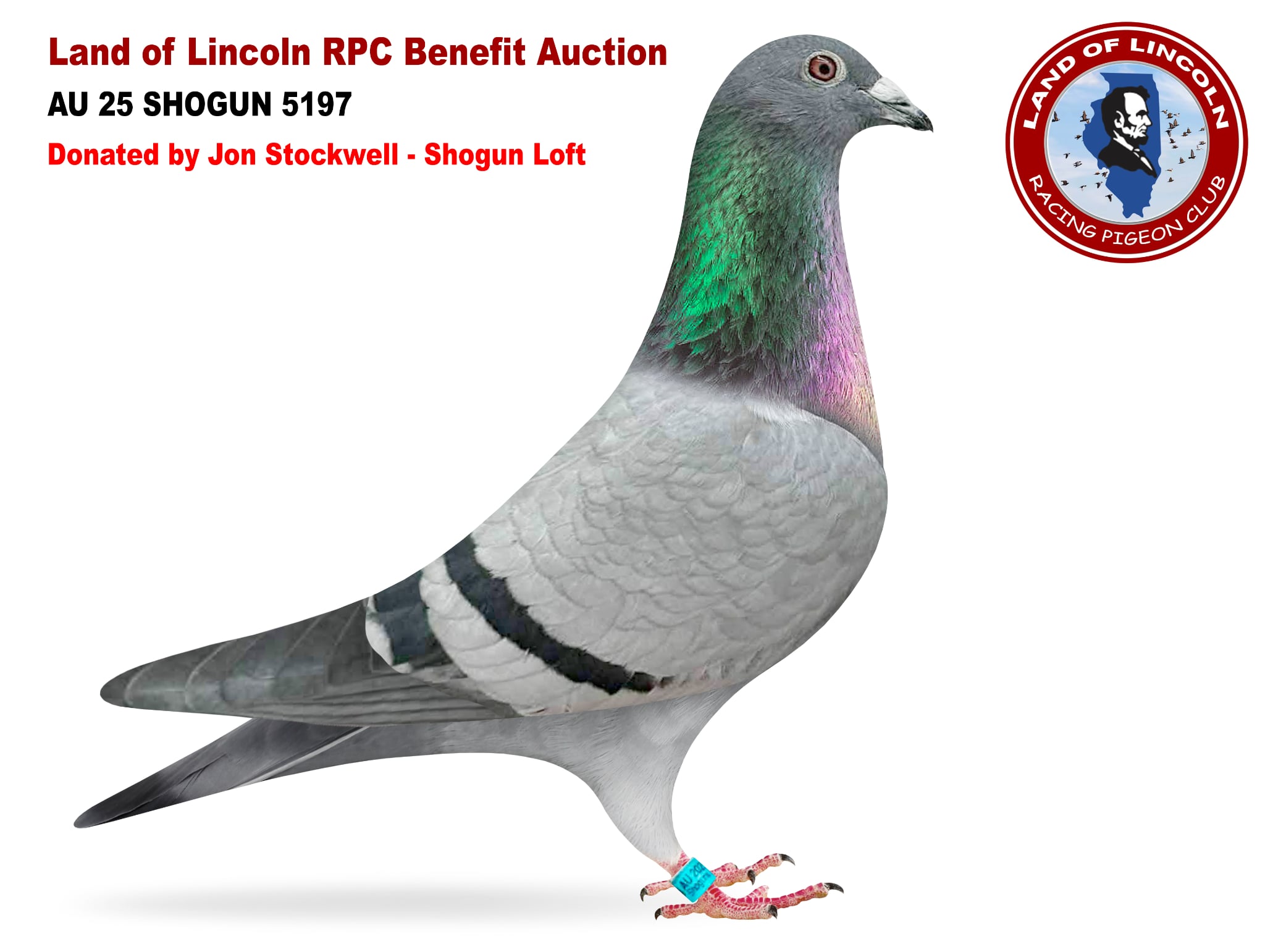 AU 25 SHOGUN 5197 BB Hen