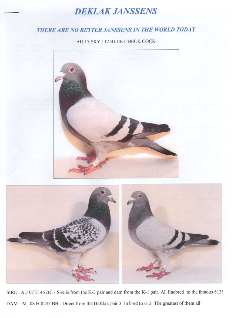 Preview Image 2