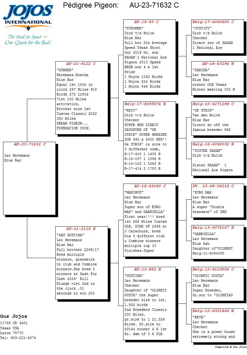 IPigeon Racing Pigeon Auction ipigeon-racing-pigeon-auction