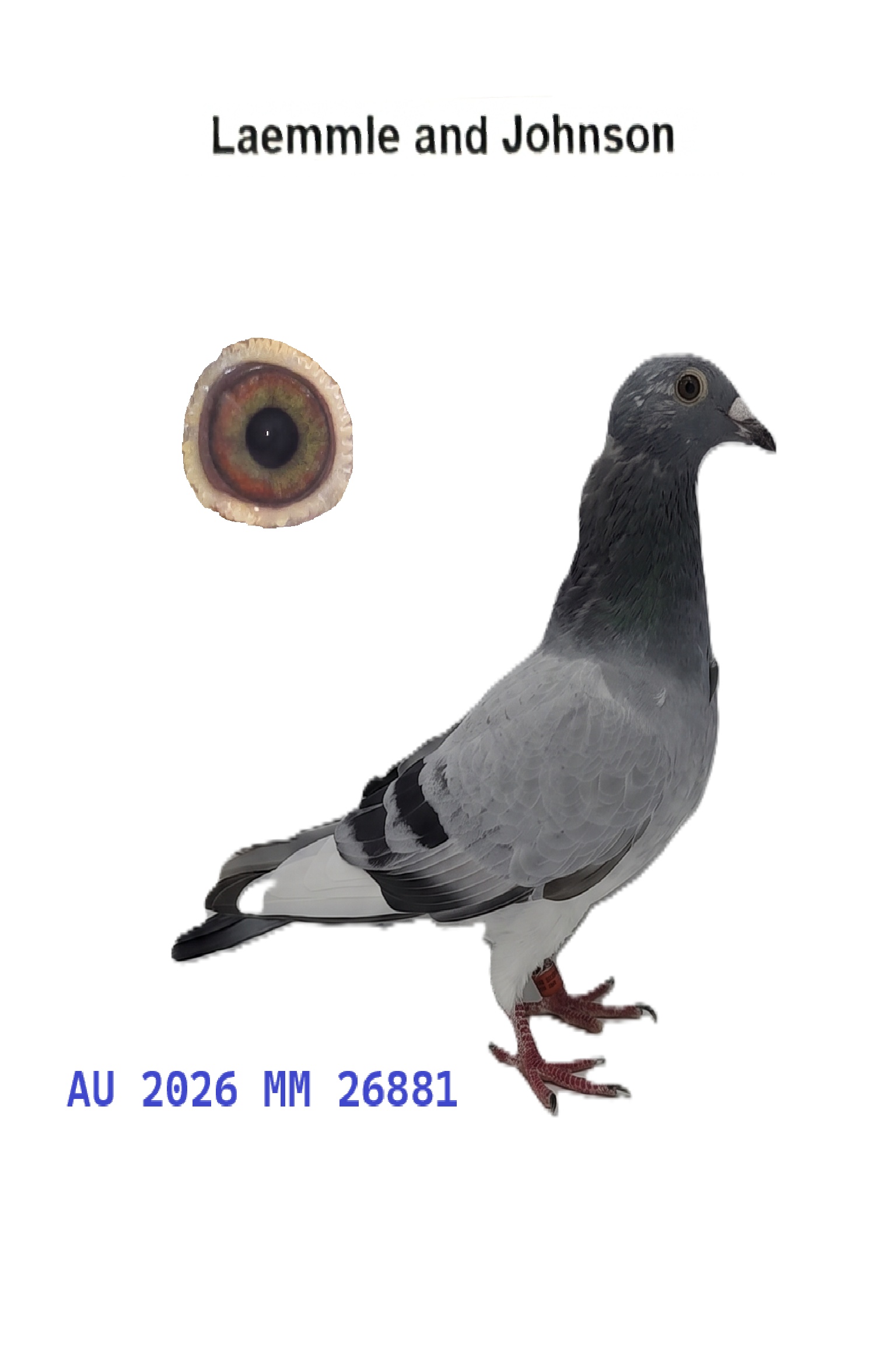 AU 26 MM 26881