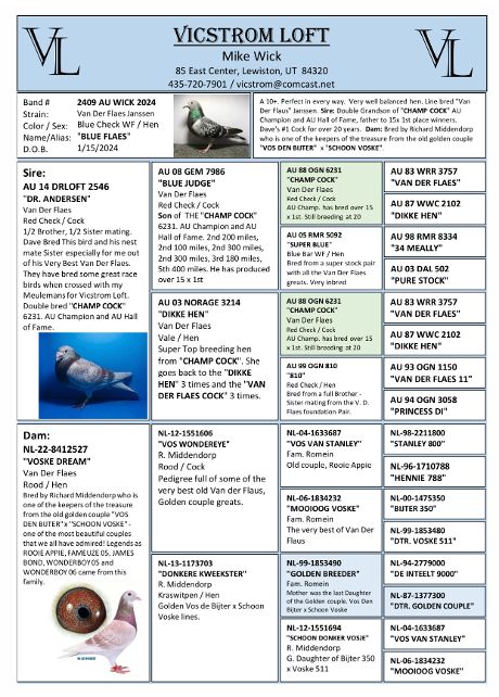 2550 WICK AU 2025 DCSP H