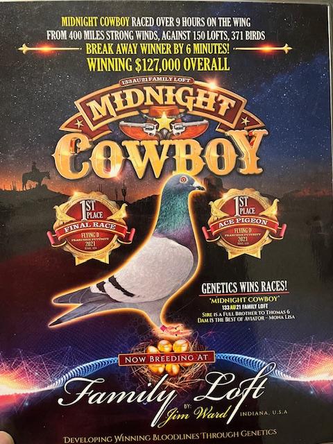 DIRECT FAMILY LOFT GOLDEN COWBOY SON OF MIDNIGHT COWBOY 1 ST 400 M FLYING D