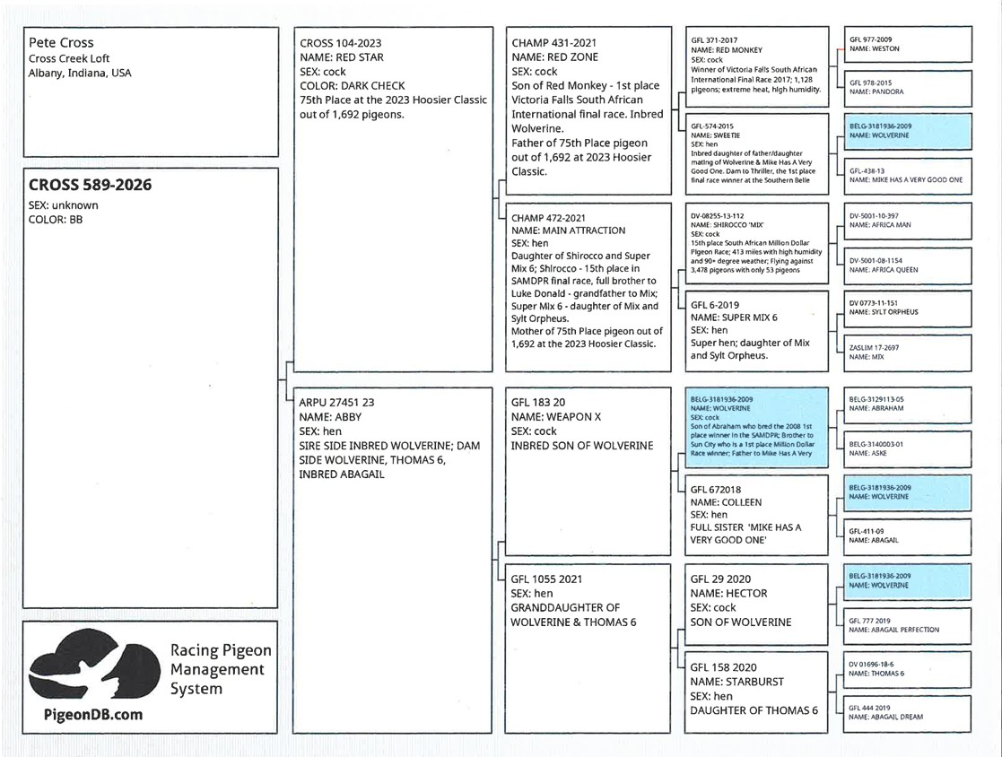 Preview Image 2