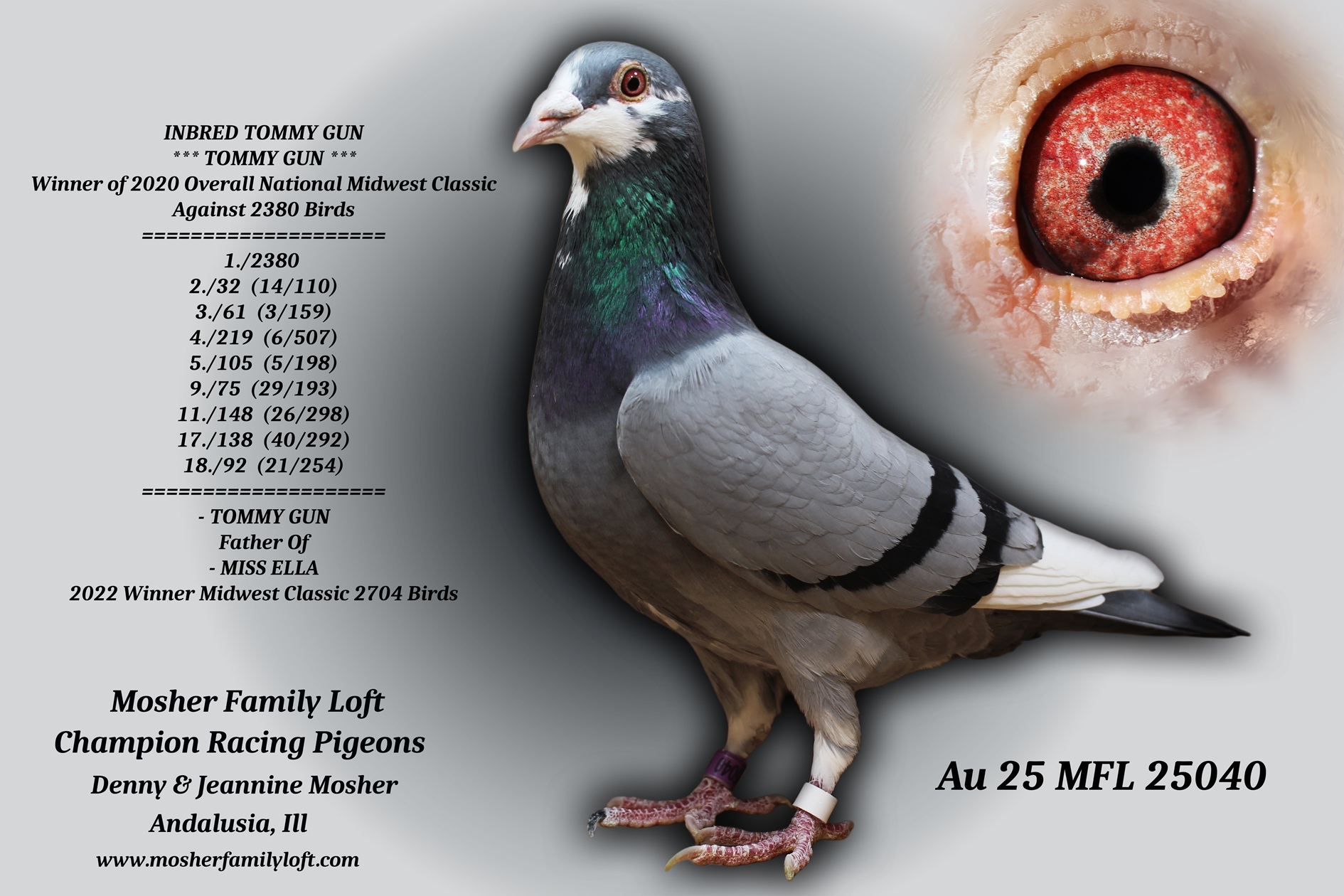 AU 25 MFL 25040 Cock