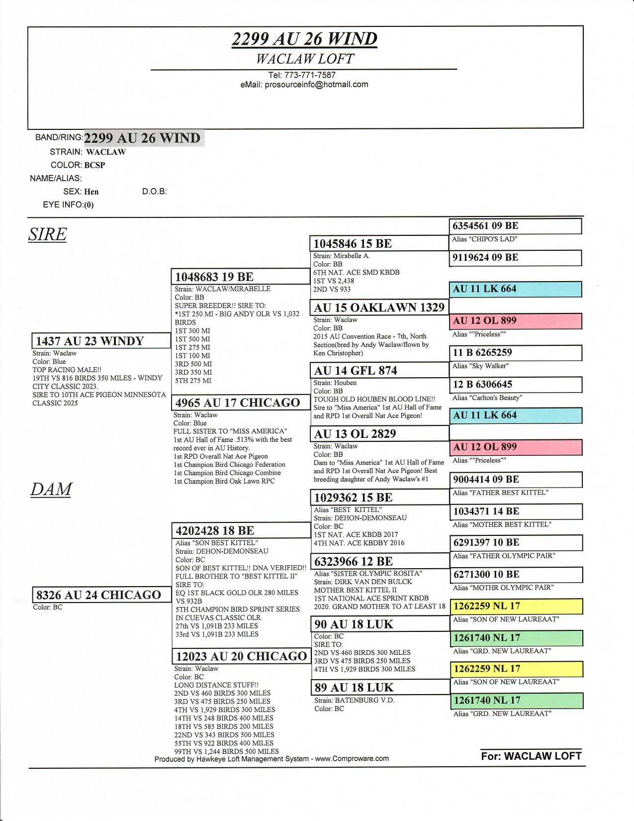BEST KITTEL, MISS AMERICA, NEW LAUREAAT