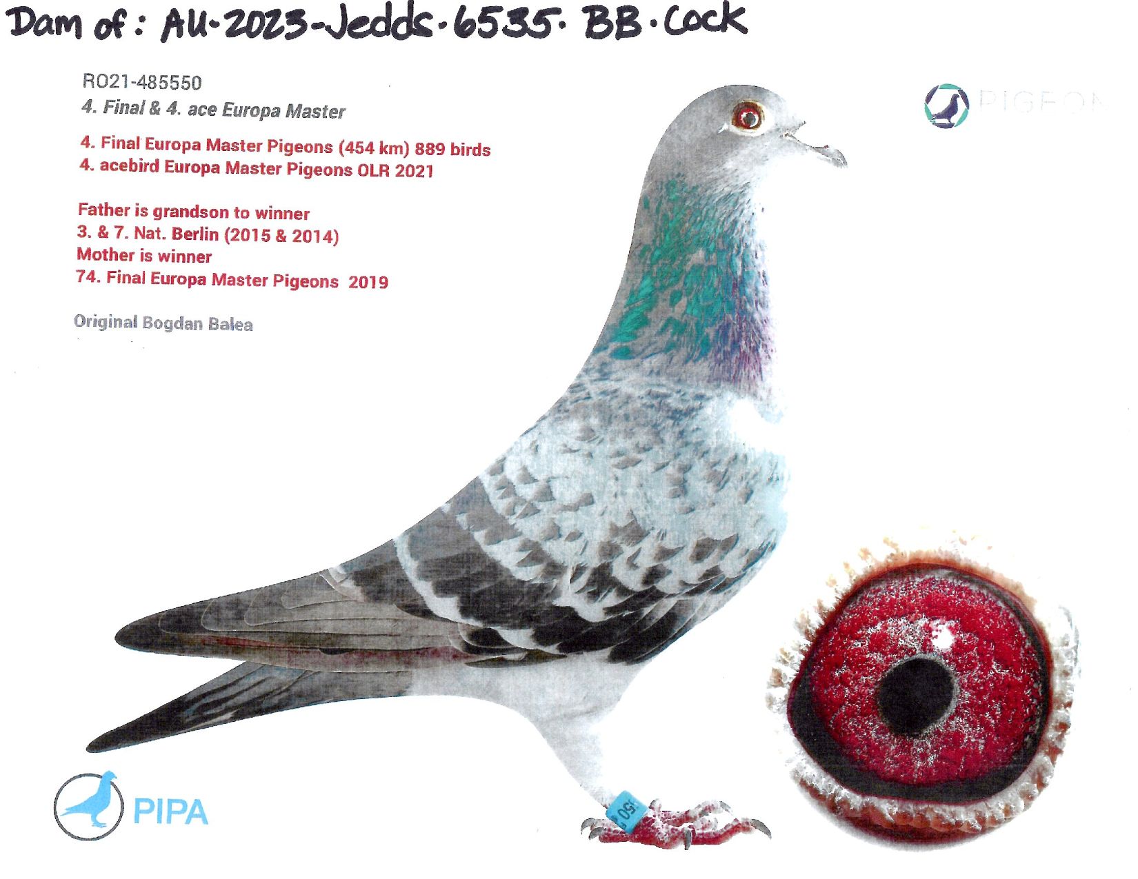 AU-2023-JEDDS -6535-BB-COCK