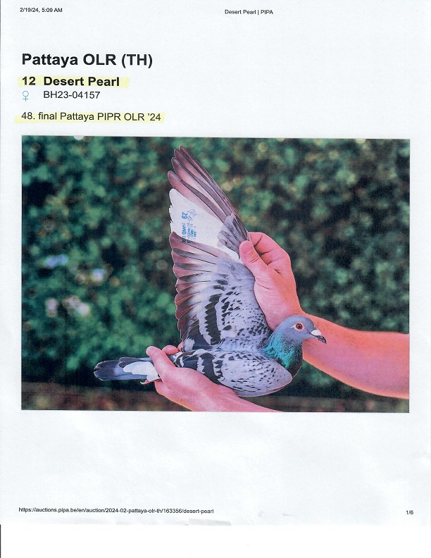 Preview Image 4