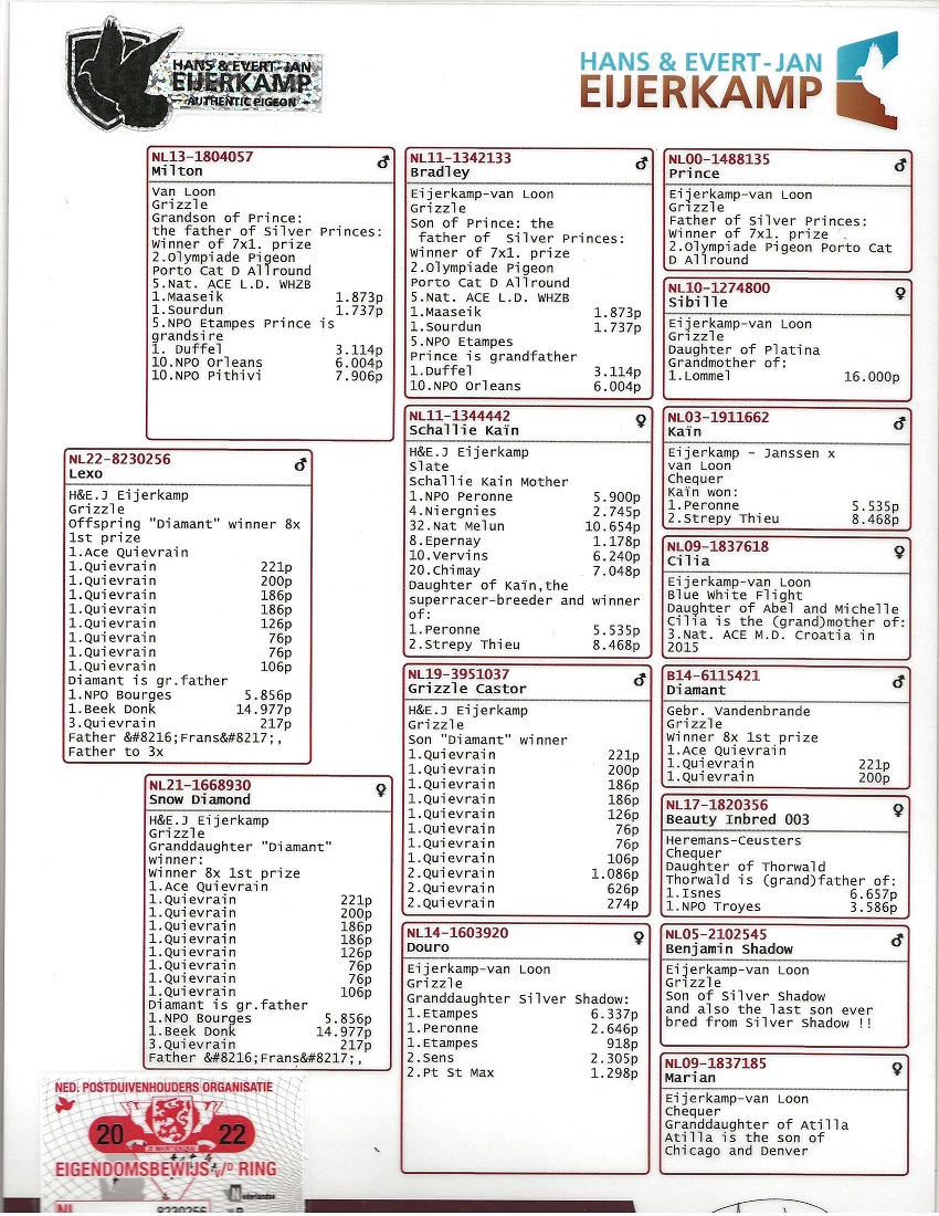Preview Image 7