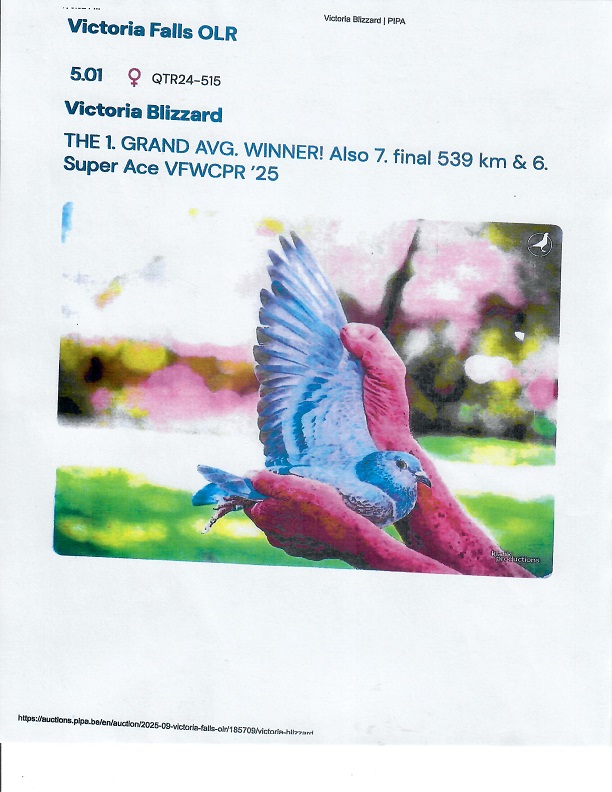 Preview Image 11