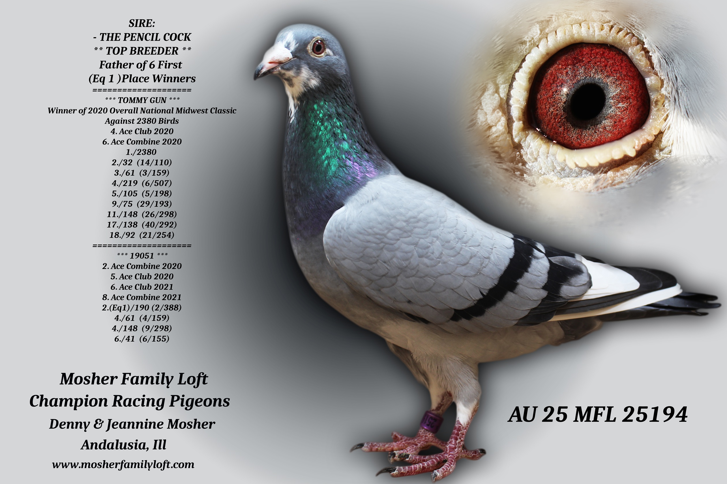 AU 25 MFL 25194 Hen