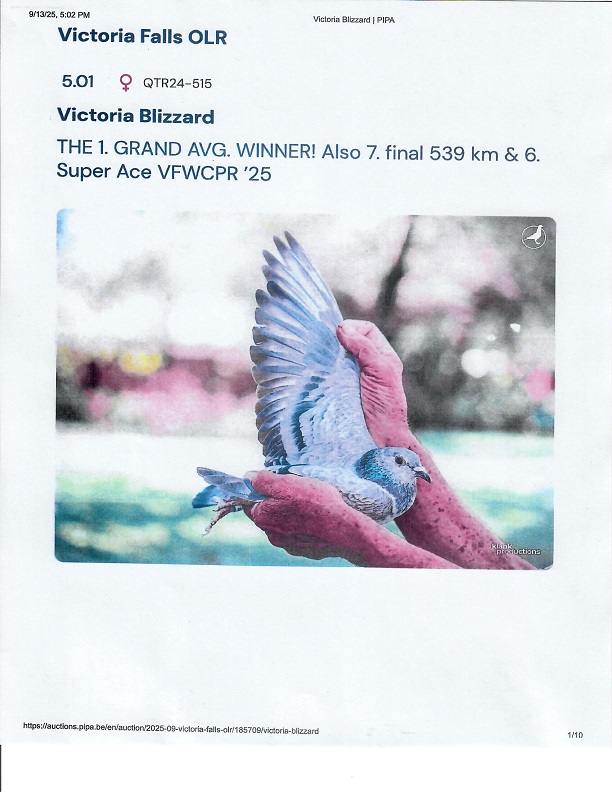 Preview Image 21