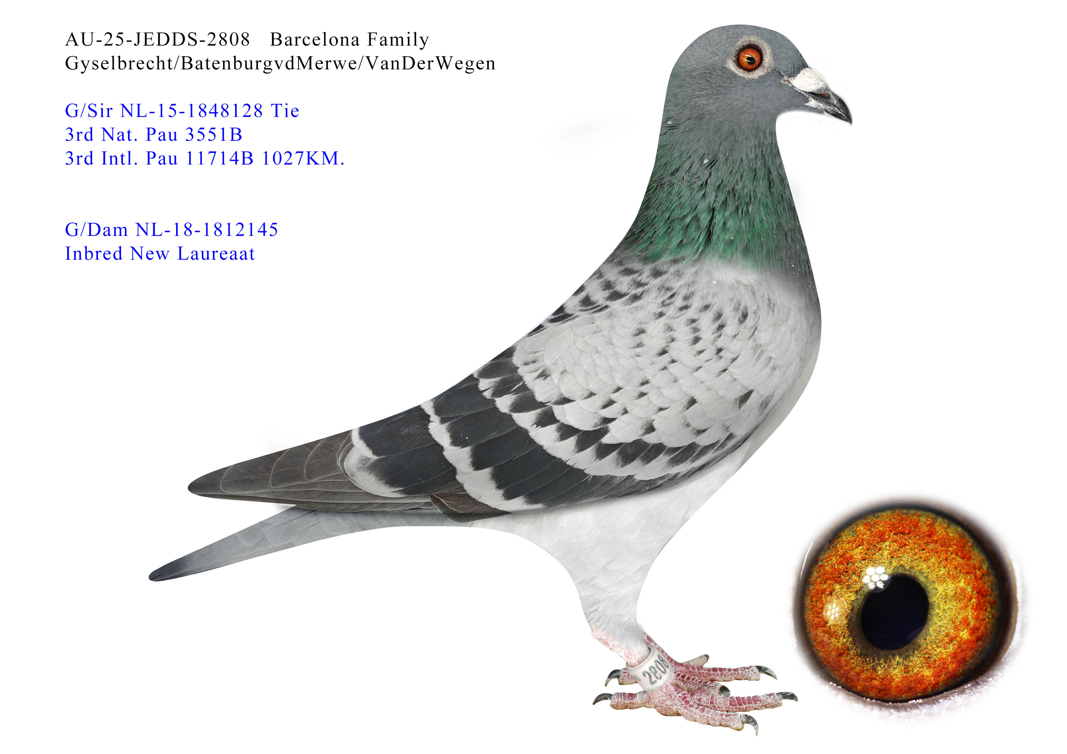 AU-25-JEDDS-2808   Barcelona Family  