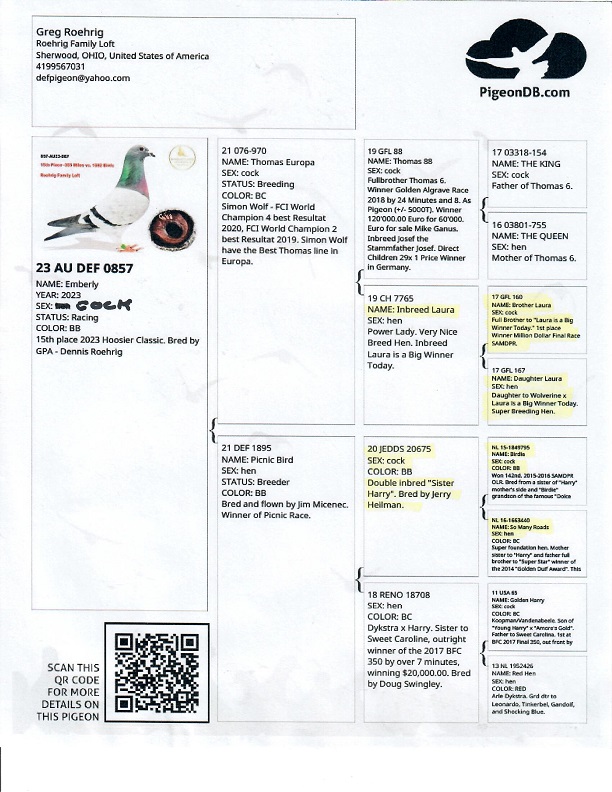 Preview Image 3